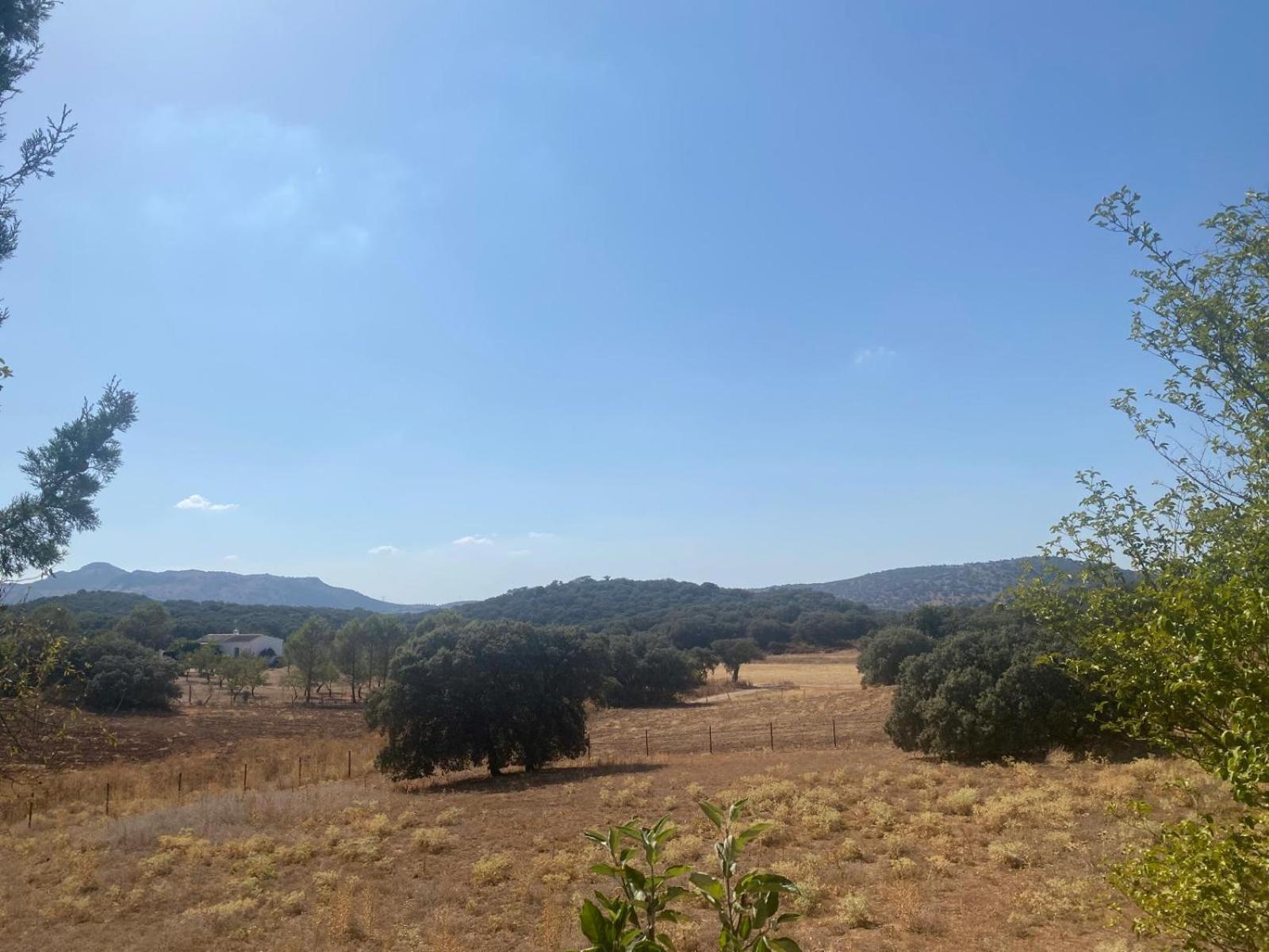 Casa Rural El Contarin - An Andalusian Escape, Archidona, Malaga Экстерьер фото
