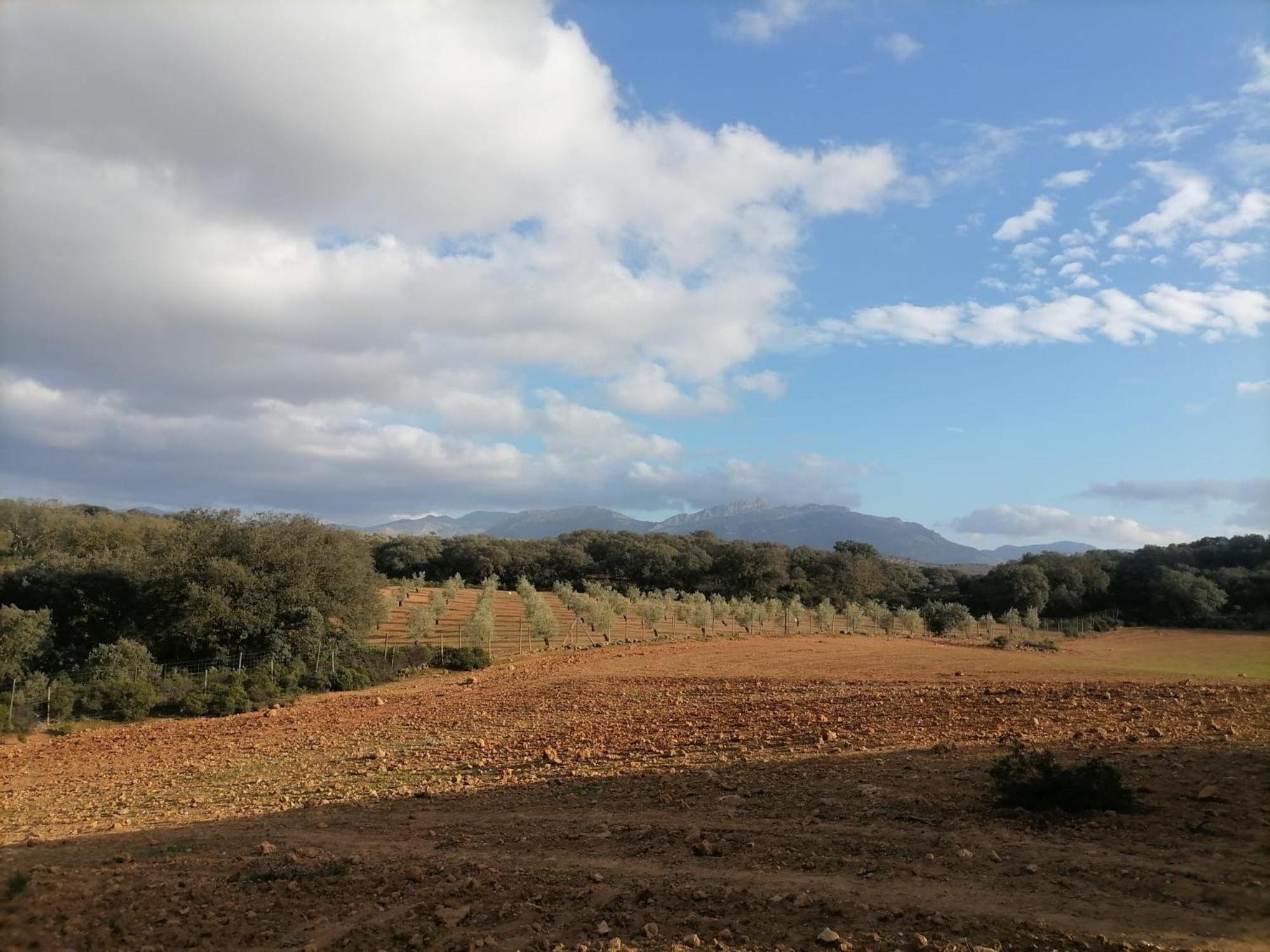 Casa Rural El Contarin - An Andalusian Escape, Archidona, Malaga Экстерьер фото